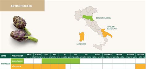 Artischocken Canova Prodotti Biologici