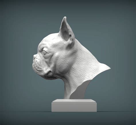 Boston Terrier 3d Model 3d Printable Cgtrader