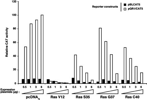 The Mitogenic Capacity Of Ras Effector Mutants Correlates With Their