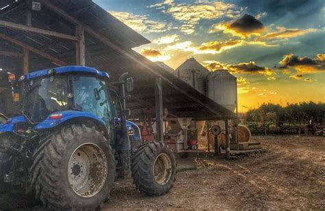 Come Aprire Una Piccola Azienda Agricola Di Successo