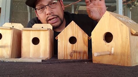 Nest Boxes For Gouldian Finches Youtube