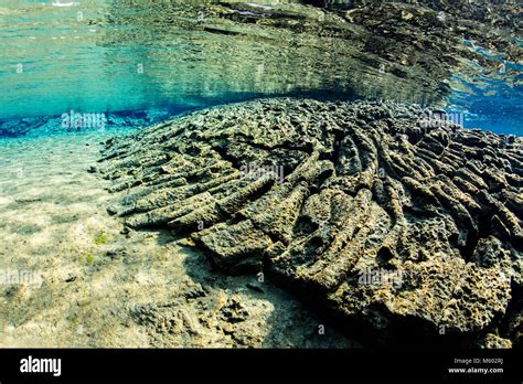 Scuba Diving In Silfra Fissure Thingvellir National Park Iceland