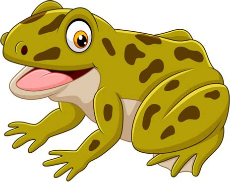 Cartoon Of A Toads Illustrations Royalty Free Vector Graphics And Clip