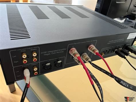 Hegel H Integrated Amplifier Dac And Streamer With Speaker Cables