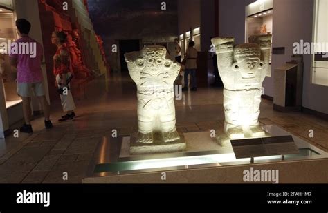 Anthropology exhibits Stock Videos & Footage - HD and 4K Video Clips - Alamy