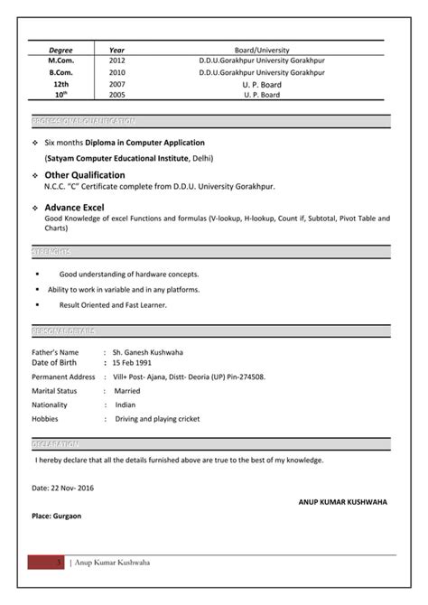 Resume For Mis Executive Pdf