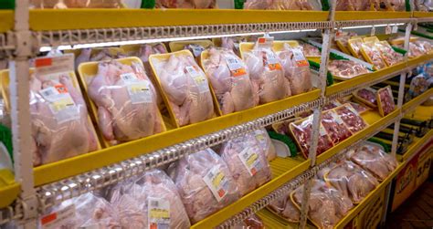 Custo de produção de frango diminui 2 61 em junho o de Suínos se