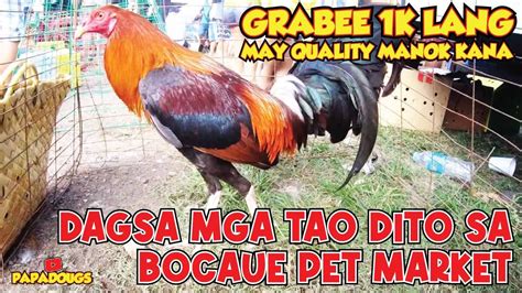 Puro Quality At Mura Manok Mabibili Mo Dito Sa Bocaue Pet Market