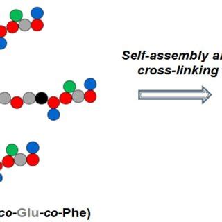 Ph And Redox Responsive Nanoparticles Designed For Delivery Of Nucleic