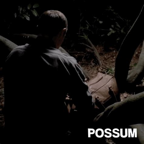 Possum Movie GIFs - Get the best GIF on GIPHY