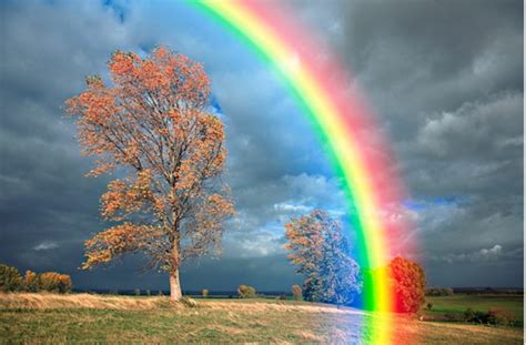 gambar pelangi   indah kumpulan gambar