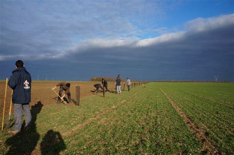 Chantier Participatif Izel Les Esquerchin Planteurs Volontaires