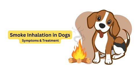 Understanding Smoke Inhalation in Dogs: Symptoms & Treatment – Waggle