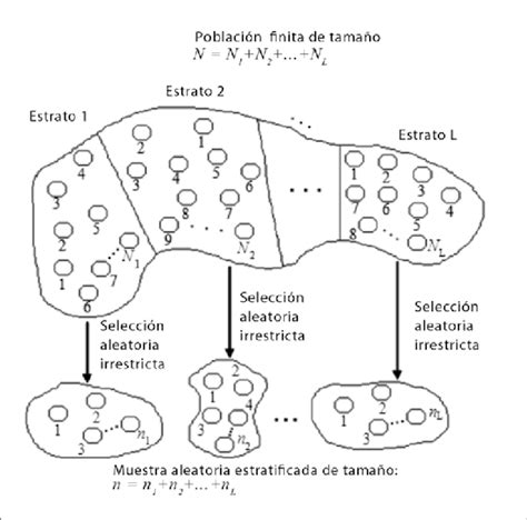 Muestreo Estratificado