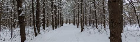 Upland Circle Trail: 3 Reviews, Map - Ontario, Canada | AllTrails