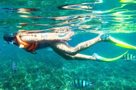 Tioman Snorkeling For First Time Travellers New Guide