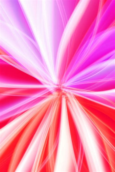 hot pink bow wallpaper 3
