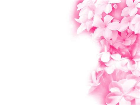 Pink Floral Wallpapers - Wallpaper Cave