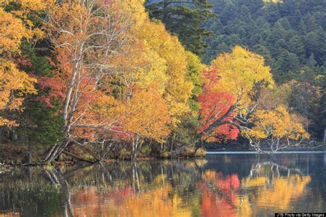 Why This Island In Japan Is The Best Place To See The Leaves Change ...