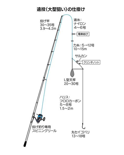 シーバススズキの特徴と釣り方 Shimano シマノ