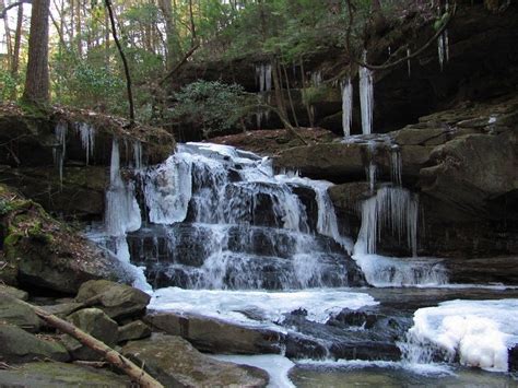 The Bankhead National Forest is home to the incredibly scenic Sipsey ...