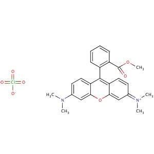 Tetramethylrhodamine Methyl Ester Perchlorate CAS 115532 50 8 SCBT