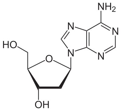 Nucleoside - Wikipedia