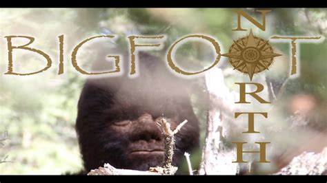 Discovering Bigfoot The First Feature Film Showcasing Real Live