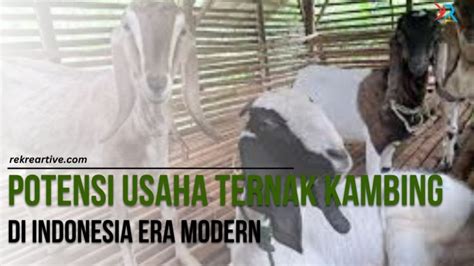 Potensi Usaha Ternak Kambing Di Indonesia Era Modern Rekreartive