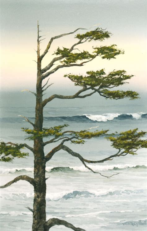 Spruce Sentinel The Jeffrey Hull Gallery Original Paintings