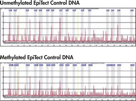 Epitect Control Dna And Control Dna Set