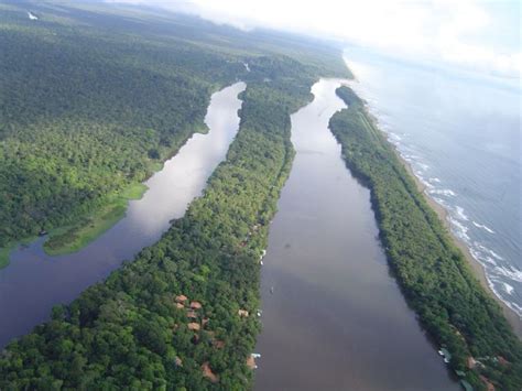 Tortuguero National Park Costa Rica City Guide Go Visit Costa Rica