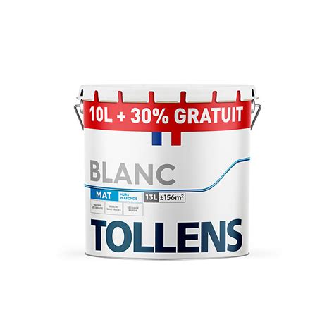 Peinture Bicouche Murs Plafonds Boiseries Tollens Blanc Mat 10l 30