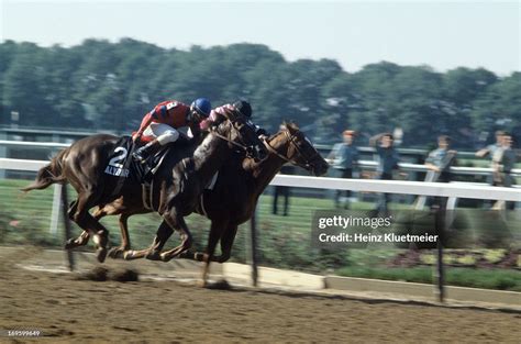 Jockey Steve Cauthen Riding Affirmed In Action Vs Jorge Velasquez