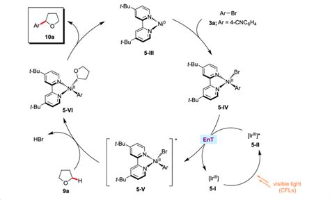 Proposed Catalytic Cycle For The Nickel Catalyzed Arylation Of Ethers