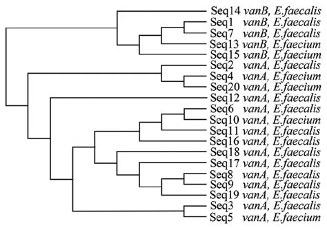 Phylogenetic tree prepared using clustal omega software. | Download ...