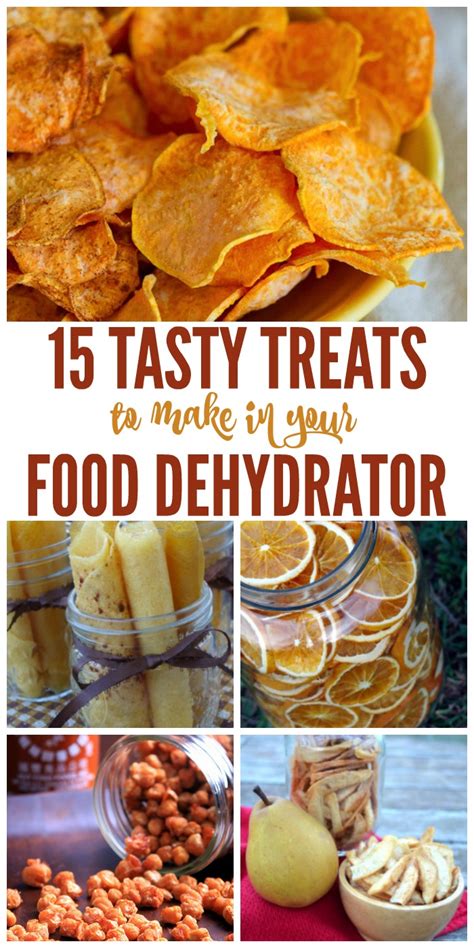 15 Tasty Treats to Make in Your Food Dehydrator