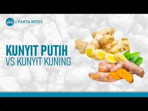 Manfaat Kunyit Putih Dan Kunyit Kuning Penemuan Baru Yang Jarang