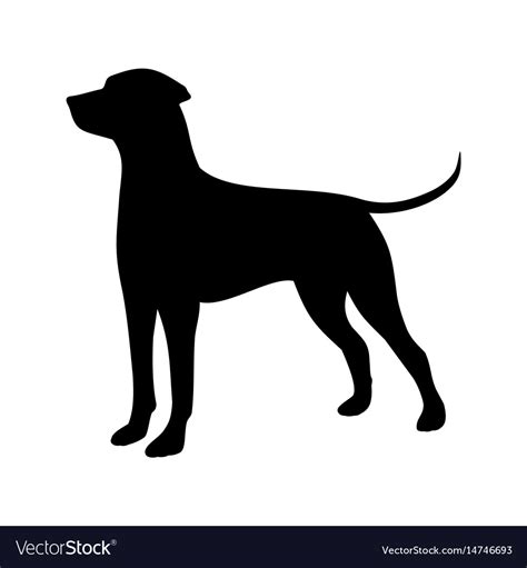 Hunting dog Royalty Free Vector Image - VectorStock