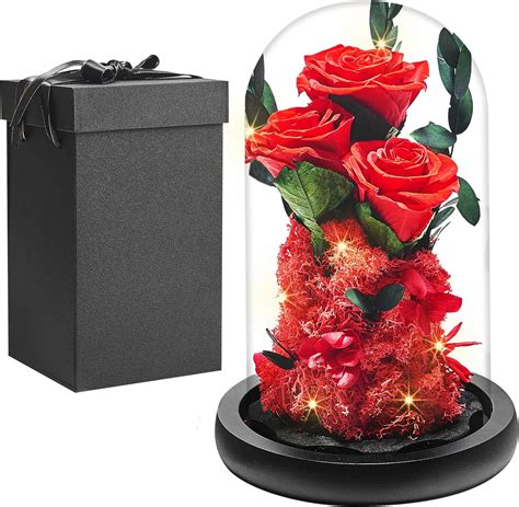 Santentre Ewige Rose Personalisierte Geschenke Infinity Rosen