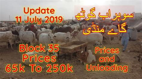 Karachi Sohrab Goth Cow Mandi Price Update July Block Youtube