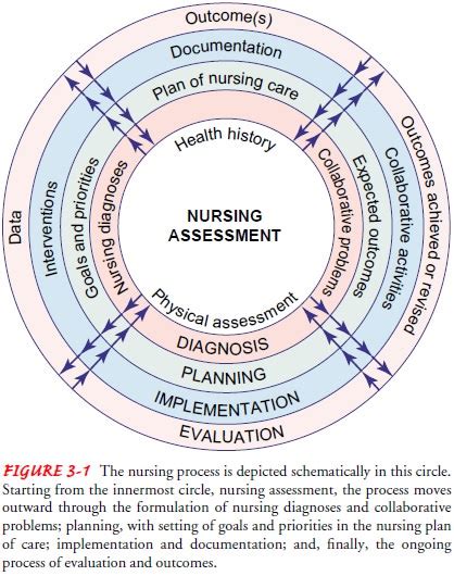 Steps Of The Nursing Process