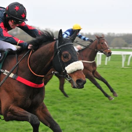racing   finish horse racing