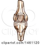 Royalty Free Knee Joint Clip Art By Vector Tradition SM Page 1