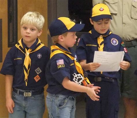 Silly And Simple Cub Scout Skits For Campfires Artofit