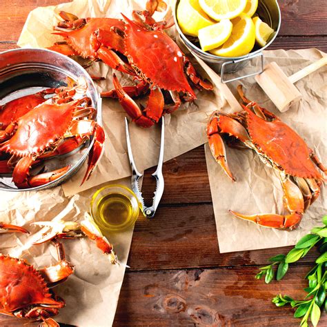 Linton S Seafood 6 1 2 Live Jumbo Maryland Blue Crabs 30 Case