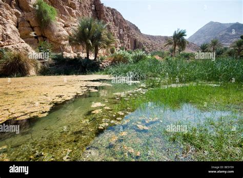 Wadi Shab Fotos Und Bildmaterial In Hoher Auflösung Alamy