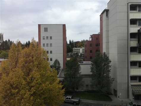 View from Sacred Heart today : r/PacificNorthwest