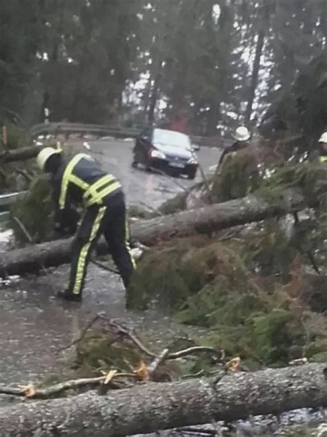 Bonndorf Erste Bilanz Der Sturmsch Den In Der Region Bonndorf S Dkurier