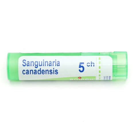 Sanguinaria Canadensis Granules Homéopathiques du laboratoire Boiron